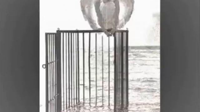 stigmes papazoglou смотреть онлайн