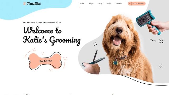 Pawsitive - Pet Hotel & Shop WordPress Theme смотреть онлайн