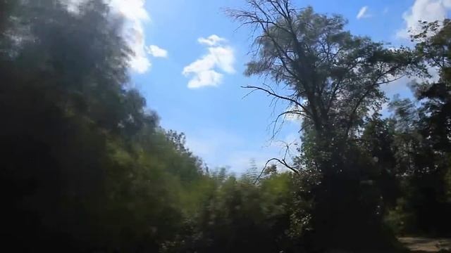 Быстрая съемка смотреть онлайн