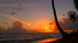 Бытие 1-4 гл. Сотворение мира и первое согрешение людей