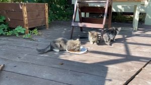 Навес над мангалом I Зона BBQ своими руками