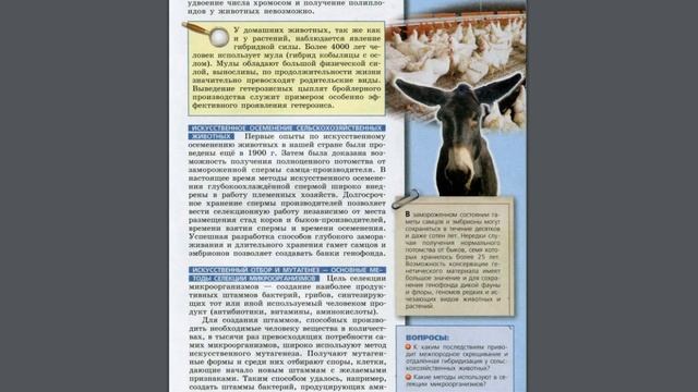 Биология (Л.Н.Сухорукова) 10-11к §34 Селекция животных и микроорганизмов смотреть онлайн