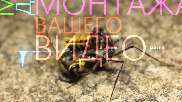 Музыка без Авторских прав.No Copyright Music .Nordica.Фоновая музыка смотреть онлайн