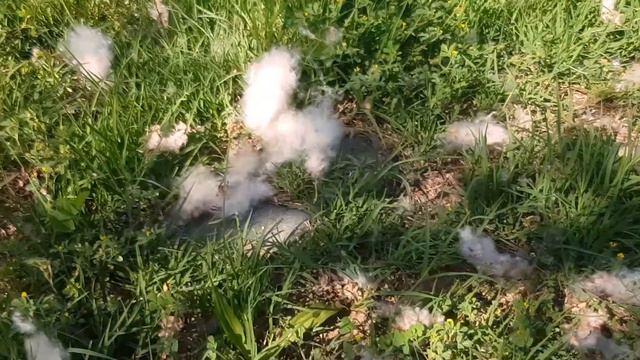 Наслаждайся тем что легко приходит смотреть онлайн