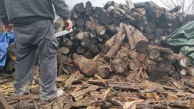 Holzfforma G255 járatgatás kis 5.dik éves akácban. смотреть онлайн