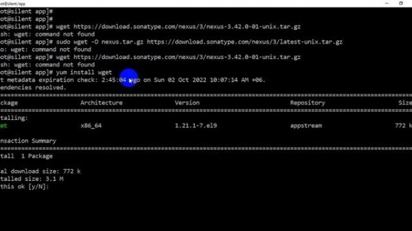 bash wget command not found