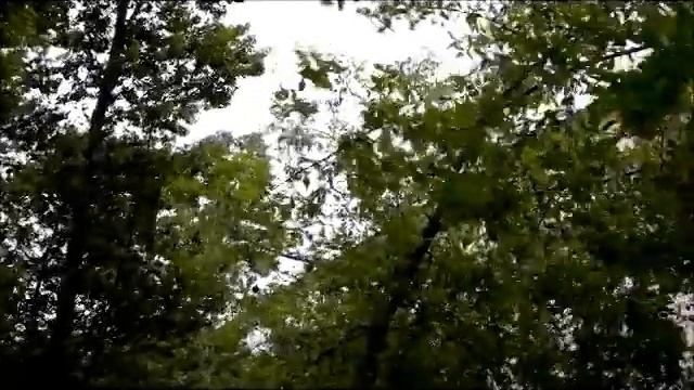 Штормовая погодка смотреть онлайн