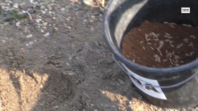 Осень: чеснок или шоколад смотреть онлайн