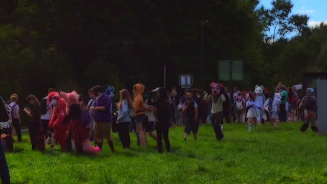 День кошек смотреть онлайн