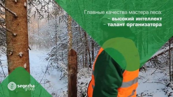 Представляем лесные профессии - мастер леса