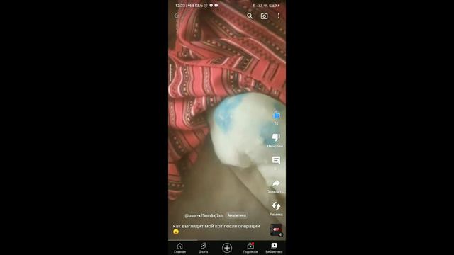 Листаю я значит свои видео и не заметила как моё видео про Рыжика набрало 380 просмотров😳 смотреть онлайн