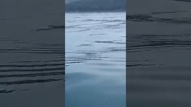 Рыбалка на Волконке, СУПЕР МОРЕ. смотреть онлайн