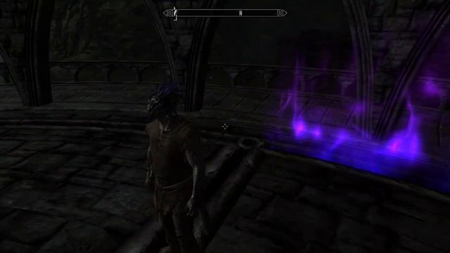 Meeting With Mysterious Woman In Skyrim With Serana As A Follower | Is There Two Serana In Skyrim??