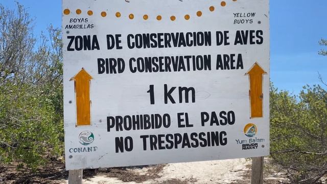 Отдых в Мексике. Остров Хольбош своим ходом - проехали остров вдоль и поперек. Лучший закат в жизни смотреть онлайн