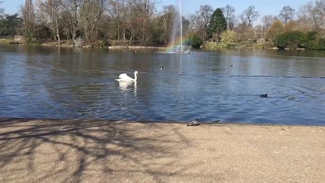 Victoria Park east london's famous park смотреть онлайн