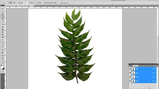 Tutorial Photoshop CS5 - Canal Alfa con Máscara смотреть онлайн