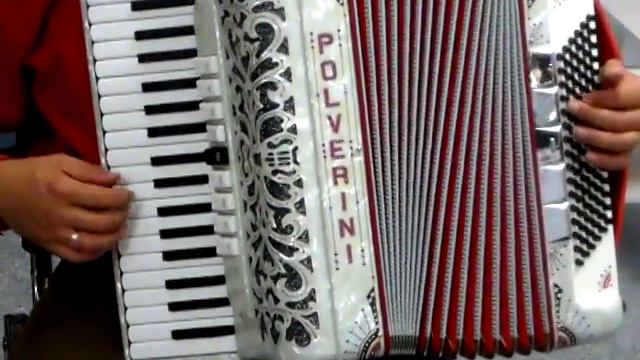 Akkordeon Polverini 37/96/9/5/IV Musette, Made in Italy Video Klangprobe смотреть онлайн