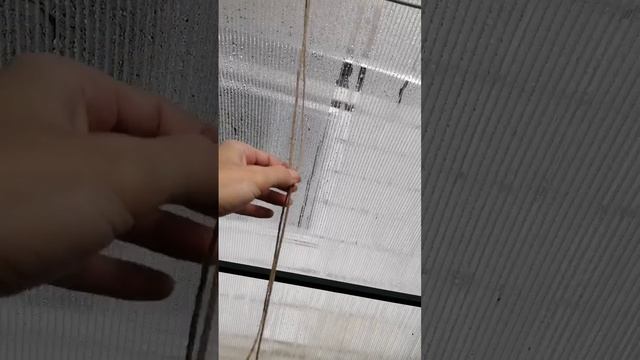 Как подвязывать помидоры и огурцы