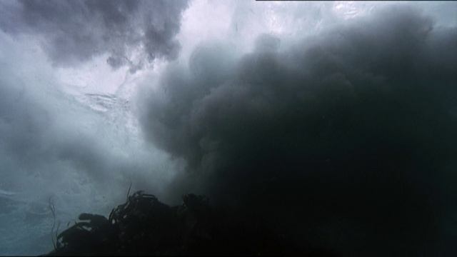 BBC: Планета Земля 9 серия «Мелководные моря» (сериал, 2006) смотреть онлайн