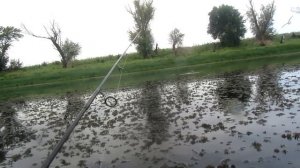 Хорватское яйцо поппер (Bumble Lure Monster P-9)