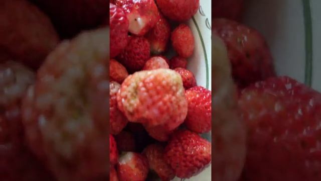 Сладкая виктория с дачи в Кургане смотреть онлайн