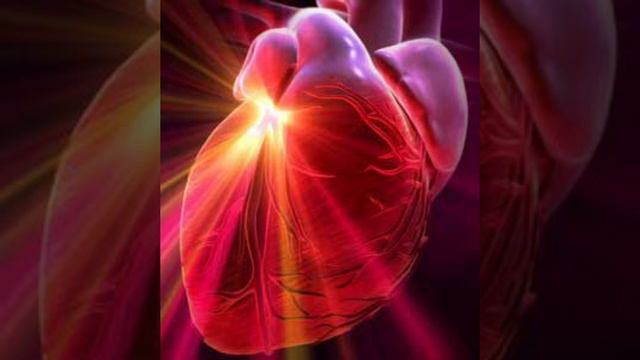 12 лунный день смотреть онлайн