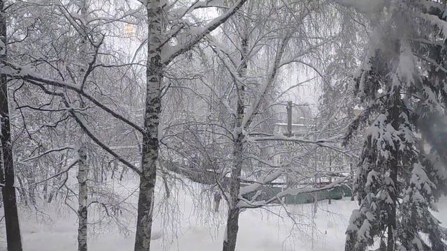This is my window. I can see... смотреть онлайн