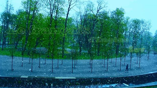 Французский язык от Eugene Sev. Le français d'Eugène Sev. Neige en mai 2020 смотреть онлайн