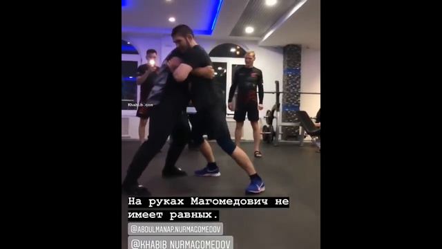 ВОТ ЧТО БЫВАЕТ, КОГДА ХАБИБУ СТАНОВИТСЯ СКУЧНО! смотреть онлайн