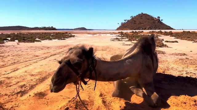 Desert salt lakes of Western Australia смотреть онлайн