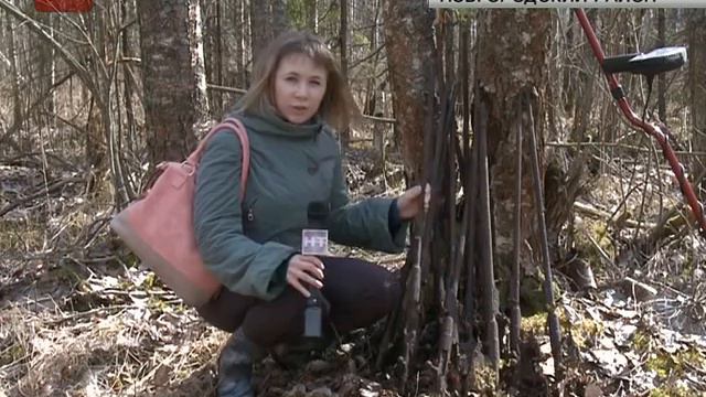 С 24 апреля по 8 мая в области проходит весенний этап Вахты Памяти – 2016 смотреть онлайн