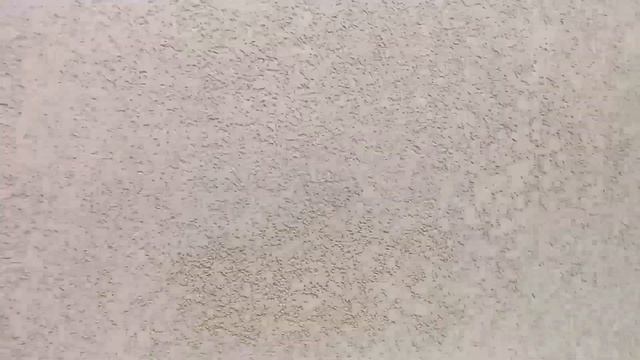 Камешковая декоративная штукатурка ст60 ceresit 1,5 мм фракция смотреть онлайн