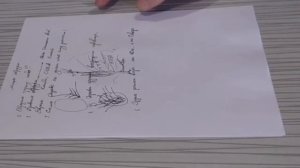 Обрезка груши. почему нельзя резать грушу.