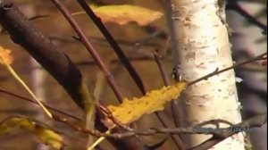 И нисколько мы с тобой не постарели