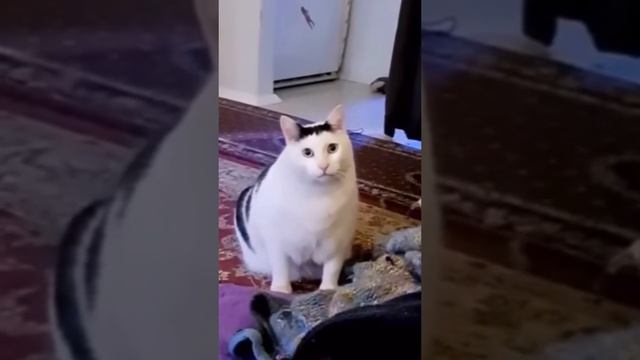Ты обиделась что ли?) смотреть онлайн