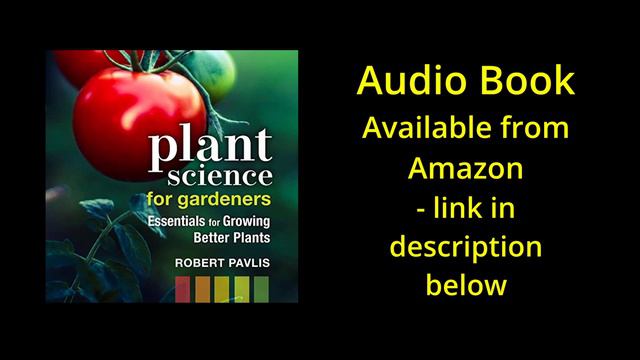 What Makes Plants Flower - And How Do You Get More Blooms? смотреть онлайн