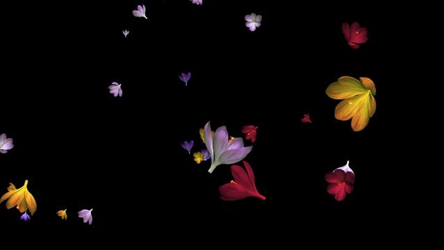 flower rain crocus multi loop png смотреть онлайн