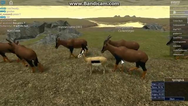 [Roblox: Wild Savannah] Lions!!! (Massive Topi herd) смотреть онлайн