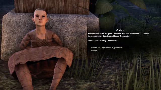 Let's Play Elder Scrolls Online Aldmeri Dominion Wood Elf Nightblade Part 160 - Tamriel Unlimited смотреть онлайн