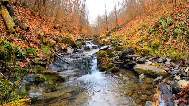 Ах, Какая Осень!!!! Осень Чудная Пора!!! Музыка Сергея Чекалина смотреть онлайн