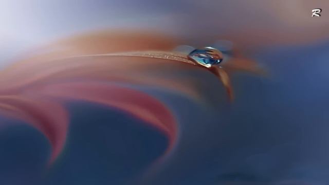 Daveed - Bliss смотреть онлайн