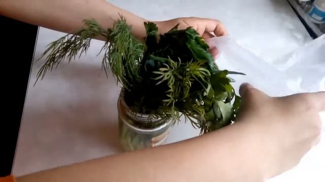 Как сохранить зелень надолго смотреть онлайн