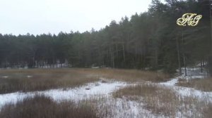 ?Кто такой МЕДВЕДЬ ШАТУН и почему он ОПАСЕН?