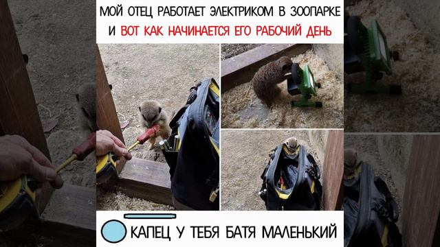 Всем хэло, я снова с вами, ещё мемы! Заходи в инсту ко мне, я там часто выкладываю мемы! смотреть онлайн