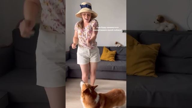 Воспитывать собаку должен только хозяин! #дрессировка #кинолог #собаки #щенки смотреть онлайн