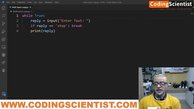 Lesson 12 Funny Python Multi Input Loop смотреть онлайн