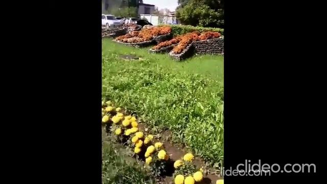 первый день лета в Сибири 01.06 смотреть онлайн