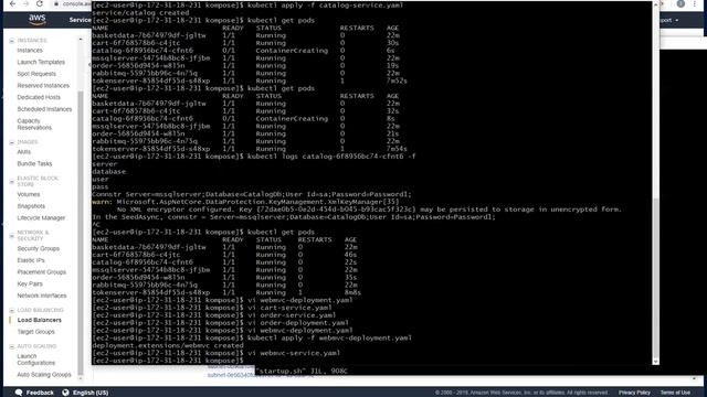 The Frank Ozz ASP.NET Microservices course AWS cloud w/the tokenserver backed by the load balancer. смотреть онлайн