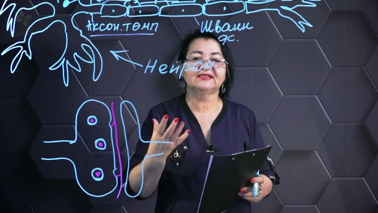 Әрекет потенциалының инициация мен трансмиссиясы. 2 бөлім. 10 сынып. смотреть онлайн