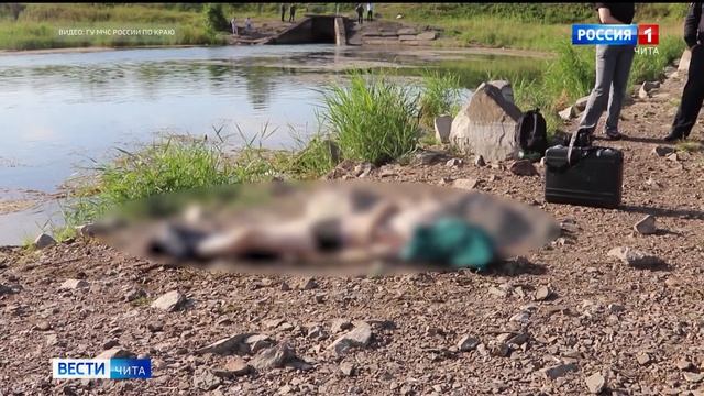 В Чите на озере Кенон утонул 12-летний ребенок